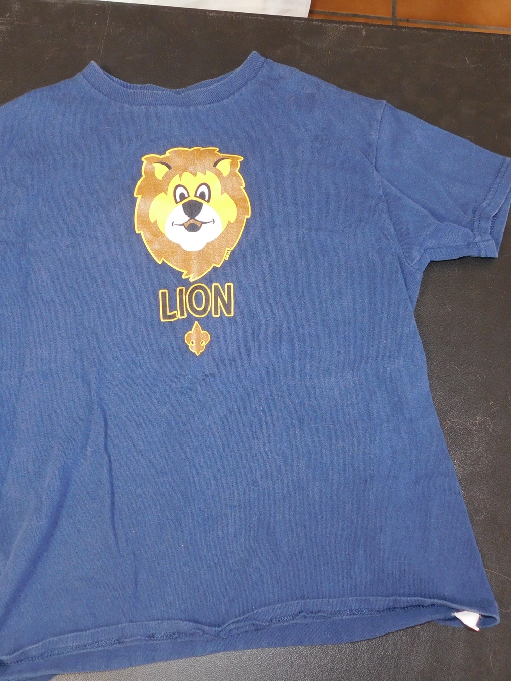 Kids Blue Cub Scouts 'Lion' Graphic T-Shirt